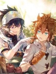 免费黄色软装推荐